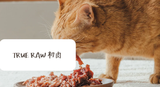 True Raw Elevates Pet Wellness With Akohub’s Seamless Loyalty Experience