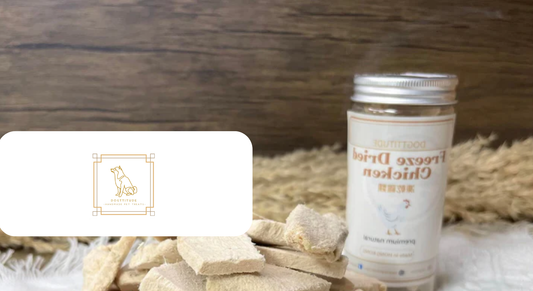 Dogttitude Boosts Customer Retention With Akohub’s Loyalty Experience