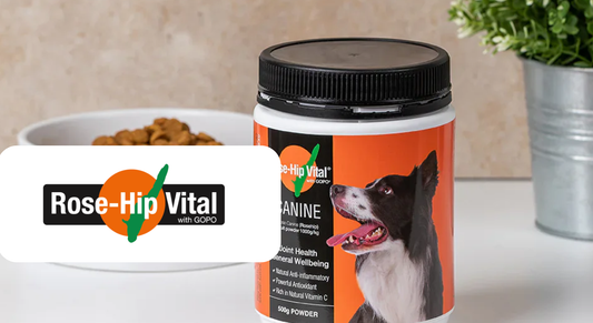 Rose-Hip Vital® Canine Builds Stronger Customer Loyalty with Akohub’s Rewards Ecosystem